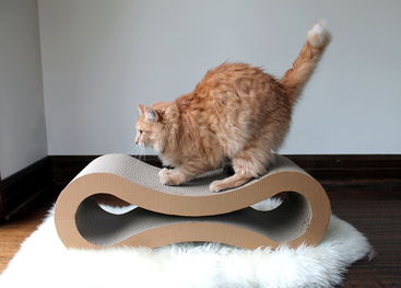 新型猫抓板设计理念
