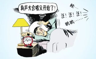 宠物深夜扰民怎么办