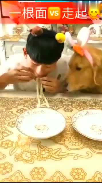 动物吃饭的碗叫什么