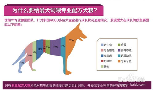 狗粮成分表怎么分配比例比较好呢