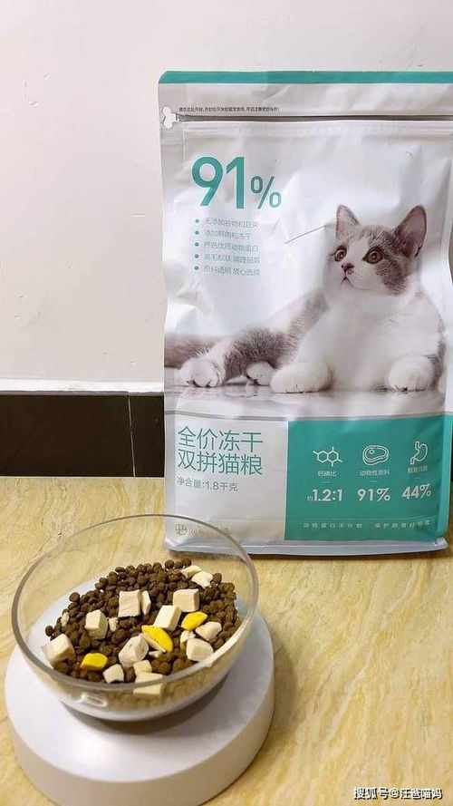 干猫粮和湿猫粮可以拌着吃吗