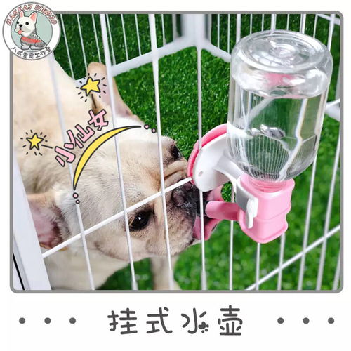 宠物饮水器怎么用