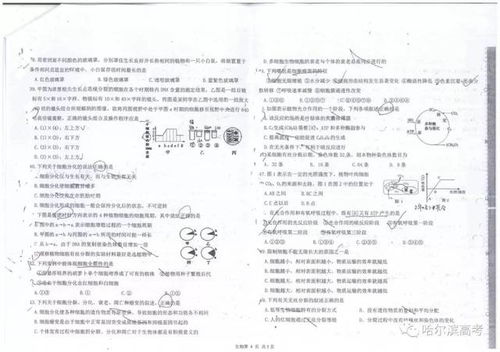 宠物病理期末考试题