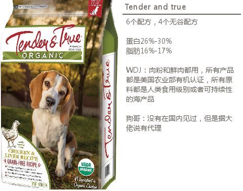 老年犬干粮挑选指南最新